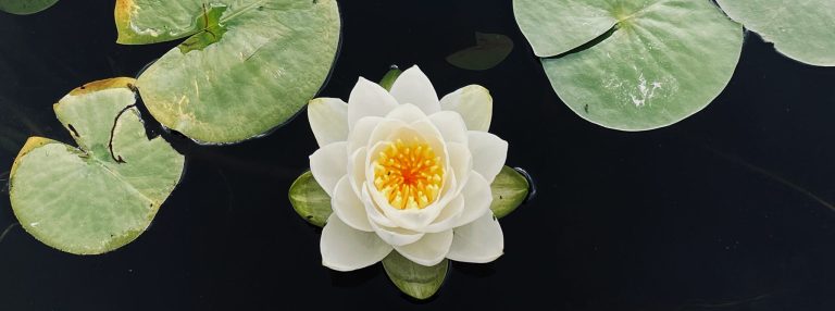 Creative Writing with Richard Green