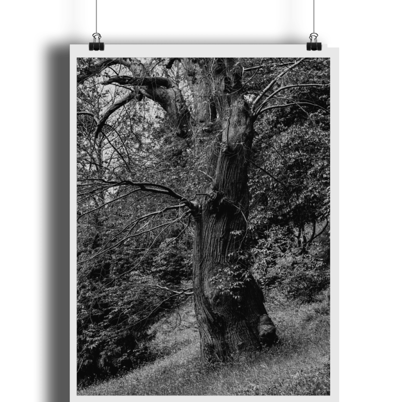 mockup-8a59d95a5341b1cf8f66f844d95ed44e.png